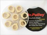 Dr.Pulley Gleitrolle SR2515/8-22